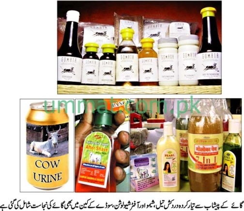 Widget_Gandhi Cola Bottles_Urdu