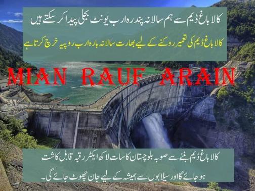 Widget_Kalabagh Dam & Hindu Conspiracy