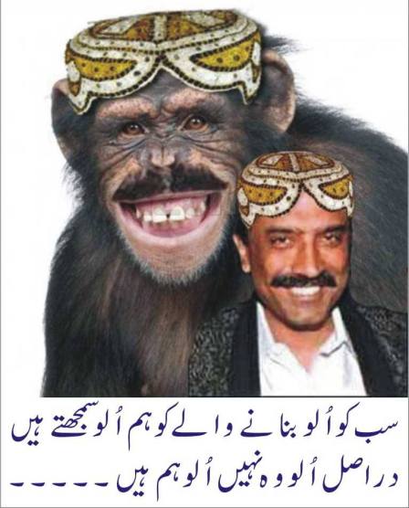 Widget_Zardari is a Monkey